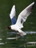 Filename=00400_fotowilga~28.JPG
Filesize=216KB
Dimensions=525x700
Date added=Sep 14, 2018 00400_fotowilga~28.JPG