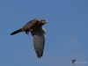 Filename=00402_fotowilga~28.JPG
Filesize=196KB
Dimensions=700x525
Date added=Aug 13, 2018 00402_fotowilga~28.JPG