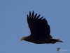 Filename=00406_fotowilga~27.JPG
Filesize=214KB
Dimensions=700x525
Date added=Nov 06, 2019 00406_fotowilga~27.JPG