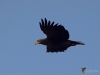 Filename=00408_fotowilga~3.JPG
Filesize=204KB
Dimensions=700x525
Date added=Nov 08, 2019 00408_fotowilga~3.JPG