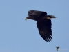 Filename=00412_fotowilga~26.JPG
Filesize=194KB
Dimensions=700x525
Date added=Nov 08, 2019 00412_fotowilga~26.JPG