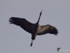 Filename=00419_fotowilga~29.JPG
Filesize=155KB
Dimensions=700x525
Date added=Apr 23, 2018 00419_fotowilga~29.JPG