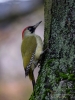 Filename=00428_fotowilga~22.JPG
Filesize=293KB
Dimensions=525x700
Date added=Nov 23, 2017 00428_fotowilga~22.JPG