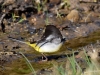 Filename=00434_fotowilga~20.JPG
Filesize=313KB
Dimensions=700x525
Date added=Sep 02, 2018 00434_fotowilga~20.JPG