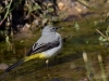 Filename=00437_fotowilga~23.JPG
Filesize=281KB
Dimensions=700x525
Date added=Sep 02, 2018 00437_fotowilga~23.JPG