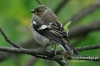 Filename=0043_fotowilga~23.JPG
Filesize=90KB
Dimensions=640x427
Date added=Mar 26, 2016 0043_fotowilga~23.JPG