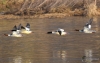 Filename=00460_fotowilga~1.JPG
Filesize=242KB
Dimensions=700x444
Date added=May 26, 2019 00460_fotowilga~1.JPG