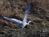 Filename=00469_fotowilga~1.JPG
Filesize=445KB
Dimensions=700x525
Date added=Jan 08, 2019 00469_fotowilga~1.JPG