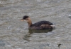 Filename=00493_fotowilga~0.JPG
Filesize=313KB
Dimensions=700x492
Date added=Jan 30, 2023 00493_fotowilga~0.JPG