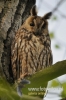 Filename=004_fotowilga~18.JPG
Filesize=82KB
Dimensions=320x480
Date added=Jan 07, 2016 004_fotowilga~18.JPG