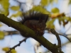 Filename=004_fotowilga~40.JPG
Filesize=223KB
Dimensions=700x525
Date added=Nov 30, 2017 004_fotowilga~40.JPG