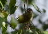 Filename=004_fotowilga~43.JPG
Filesize=236KB
Dimensions=700x500
Date added=Jan 24, 2018 004_fotowilga~43.JPG