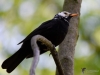 Filename=004_fotowilga~49.JPG
Filesize=216KB
Dimensions=700x525
Date added=May 01, 2018 004_fotowilga~49.JPG