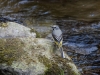 Filename=004_fotowilga~50.JPG
Filesize=333KB
Dimensions=700x525
Date added=May 04, 2018 004_fotowilga~50.JPG