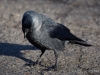 Filename=004_fotowilga~55.JPG
Filesize=294KB
Dimensions=700x525
Date added=Oct 18, 2018 004_fotowilga~55.JPG