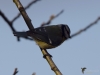 Filename=004_fotowilga~59.JPG
Filesize=173KB
Dimensions=700x525
Date added=Jan 05, 2019 004_fotowilga~59.JPG