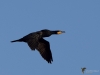 Filename=004_fotowilga~61.JPG
Filesize=185KB
Dimensions=700x525
Date added=Jan 24, 2019 004_fotowilga~61.JPG