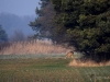 Filename=0050_fotowilga~0.JPG
Filesize=322KB
Dimensions=700x525
Date added=May 14, 2019 0050_fotowilga~0.JPG