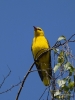 Filename=0050_fotowilga~1.JPG
Filesize=261KB
Dimensions=525x700
Date added=May 28, 2019 0050_fotowilga~1.JPG