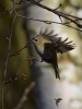 Filename=00514_fotowilga~18.JPG
Filesize=220KB
Dimensions=525x700
Date added=Apr 09, 2018 00514_fotowilga~18.JPG