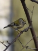 Filename=00520_fotowilga~14.JPG
Filesize=222KB
Dimensions=525x700
Date added=Apr 09, 2018 00520_fotowilga~14.JPG