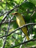 Filename=00524_fotowilga~12.JPG
Filesize=363KB
Dimensions=525x700
Date added=Jun 16, 2019 00524_fotowilga~12.JPG