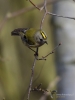 Filename=00527_fotowilga~16.JPG
Filesize=234KB
Dimensions=525x700
Date added=Apr 10, 2018 00527_fotowilga~16.JPG