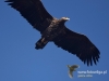 Filename=0056_fotowilga~37.JPG
Filesize=57KB
Dimensions=640x480
Date added=Feb 20, 2017 0056_fotowilga~37.JPG