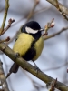 Filename=0057_fotowilga~2.JPG
Filesize=249KB
Dimensions=525x700
Date added=Jul 17, 2019 0057_fotowilga~2.JPG