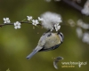 Filename=0058_fotowilga~28.JPG
Filesize=63KB
Dimensions=600x480
Date added=May 03, 2016 0058_fotowilga~28.JPG