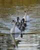 Filename=0059_fotowilga~28.JPG
Filesize=101KB
Dimensions=384x480
Date added=Apr 17, 2016 0059_fotowilga~28.JPG
