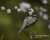 Filename=0059_fotowilga~30.JPG
Filesize=62KB
Dimensions=600x480
Date added=May 23, 2016 0059_fotowilga~30.JPG