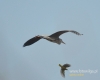 Filename=005_fotowilga~19.JPG
Filesize=49KB
Dimensions=600x480
Date added=Mar 28, 2016 005_fotowilga~19.JPG