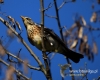 Filename=005_fotowilga~21.JPG
Filesize=80KB
Dimensions=600x480
Date added=May 24, 2016 005_fotowilga~21.JPG