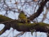 Filename=005_fotowilga~27.JPG
Filesize=88KB
Dimensions=640x480
Date added=Feb 03, 2017 005_fotowilga~27.JPG