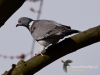 Filename=005_fotowilga~31.JPG
Filesize=63KB
Dimensions=640x480
Date added=Mar 20, 2017 005_fotowilga~31.JPG