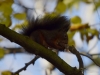 Filename=005_fotowilga~43.JPG
Filesize=231KB
Dimensions=700x525
Date added=Dec 06, 2017 005_fotowilga~43.JPG