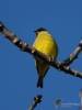 Filename=005_fotowilga~48.JPG
Filesize=204KB
Dimensions=525x700
Date added=Feb 18, 2018 005_fotowilga~48.JPG