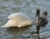 Filename=005_fotowilga~9.JPG
Filesize=118KB
Dimensions=611x480
Date added=Sep 17, 2015 005_fotowilga~9.JPG