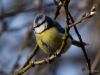 Filename=00607_fotowilga.JPG
Filesize=262KB
Dimensions=700x525
Date added=Jul 22, 2019 00607_fotowilga.JPG