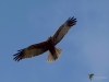Filename=0061_fotowilga.JPG
Filesize=185KB
Dimensions=700x525
Date added=Apr 04, 2019 0061_fotowilga.JPG