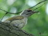 Filename=00621_fotowilga~11.JPG
Filesize=261KB
Dimensions=700x525
Date added=Mar 23, 2018 00621_fotowilga~11.JPG