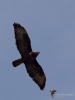 Filename=0062_fotowilga.JPG
Filesize=195KB
Dimensions=525x700
Date added=Jun 26, 2019 0062_fotowilga.JPG