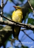 Filename=00632_fotowilga~5.JPG
Filesize=77KB
Dimensions=343x480
Date added=Jun 18, 2015 00632_fotowilga~5.JPG