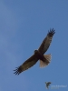 Filename=0063_fotowilga~69.JPG
Filesize=193KB
Dimensions=525x700
Date added=Apr 02, 2019 0063_fotowilga~69.JPG