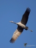 Filename=00652_fotowilga~8.JPG
Filesize=227KB
Dimensions=525x700
Date added=Dec 07, 2019 00652_fotowilga~8.JPG