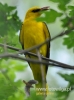 Filename=00656_fotowilga~7.JPG
Filesize=75KB
Dimensions=357x480
Date added=Feb 15, 2016 00656_fotowilga~7.JPG