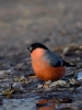 Filename=00662_fotowilga~2.JPG
Filesize=249KB
Dimensions=525x700
Date added=Nov 01, 2019 00662_fotowilga~2.JPG