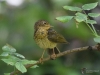 Filename=0066_fotowilga~2.JPG
Filesize=306KB
Dimensions=700x525
Date added=Aug 17, 2019 0066_fotowilga~2.JPG