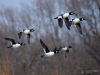 Filename=0066_fotowilga~57.JPG
Filesize=213KB
Dimensions=700x525
Date added=Mar 11, 2018 0066_fotowilga~57.JPG